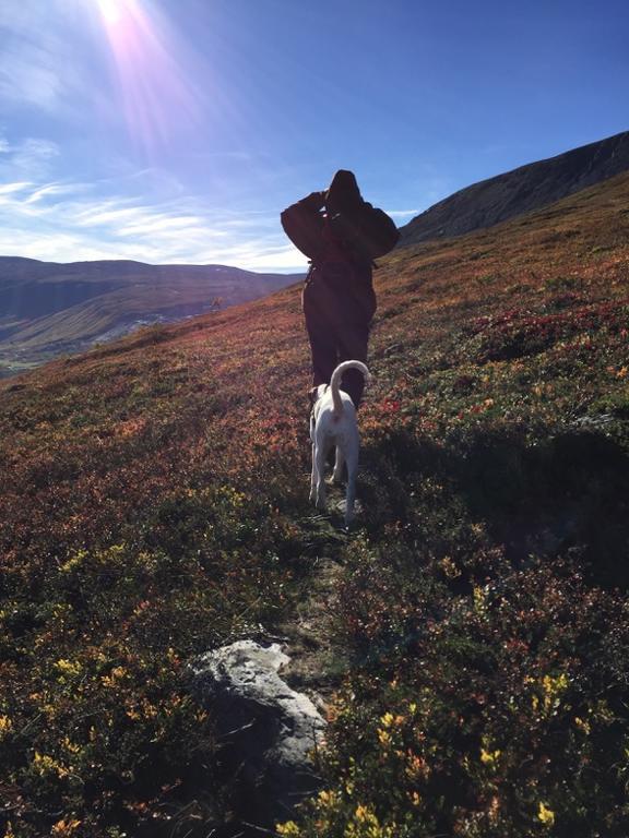 Magalaupe Camping Oppdal Bagian luar foto